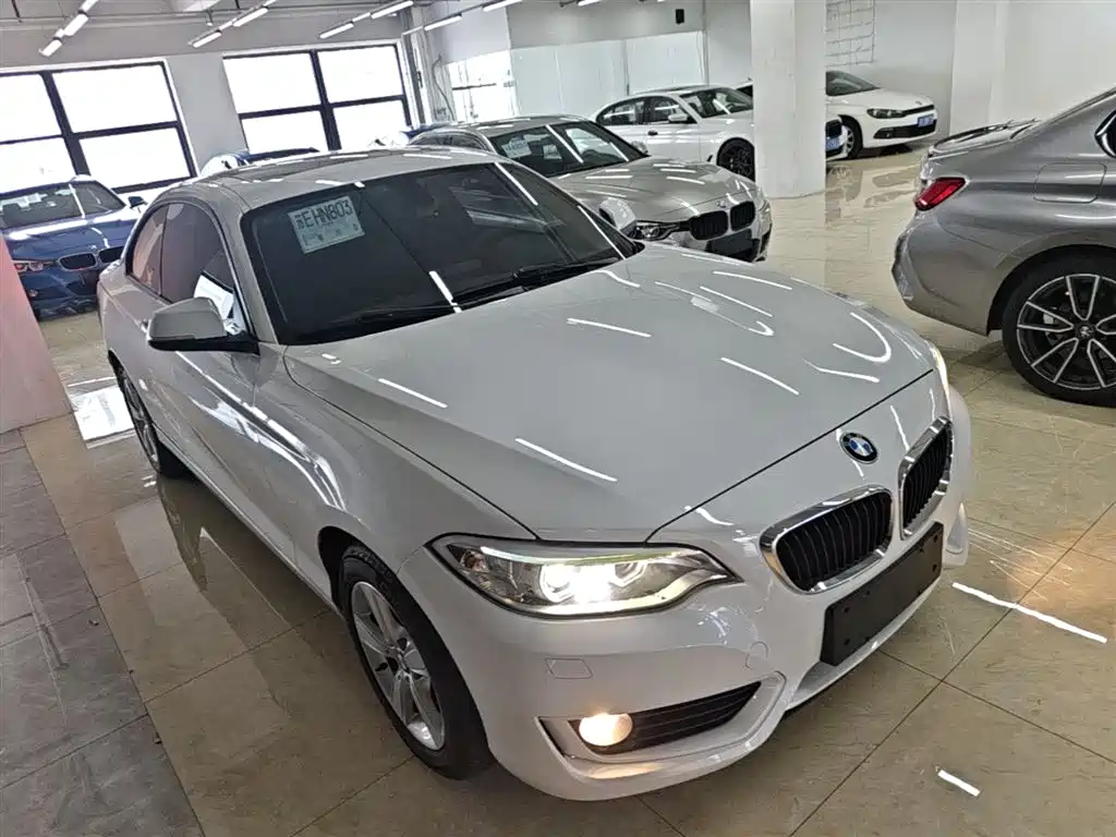BMW 2 Series (Import) 2017 220i Leading фото 4