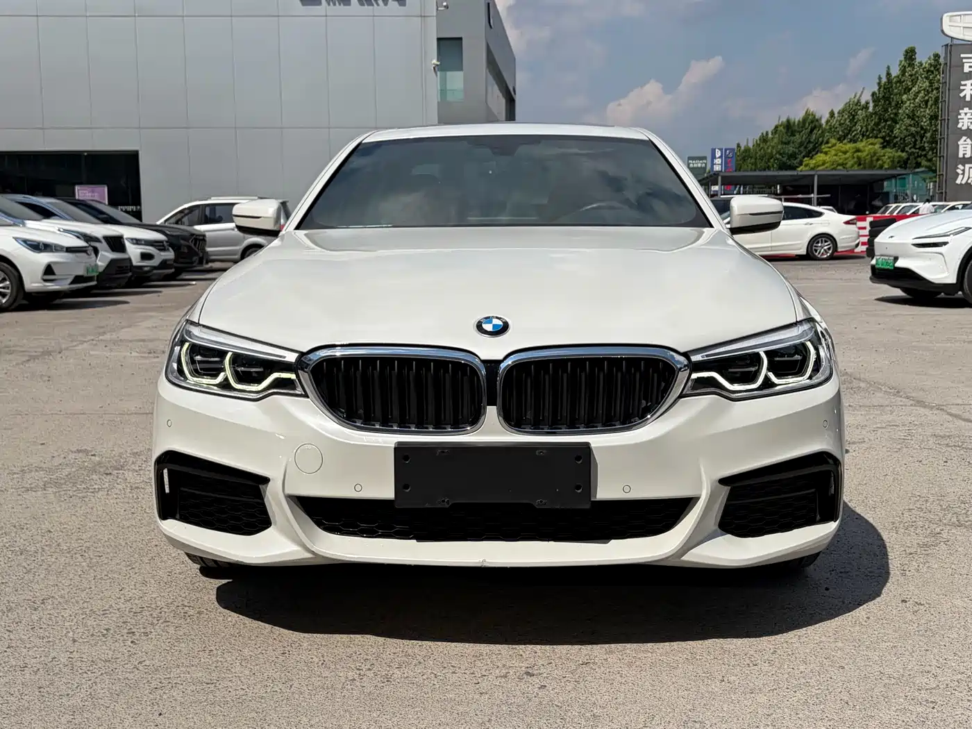 BMW 5 Series 2020 Model 530Li xDrive M Sport Package фото 2