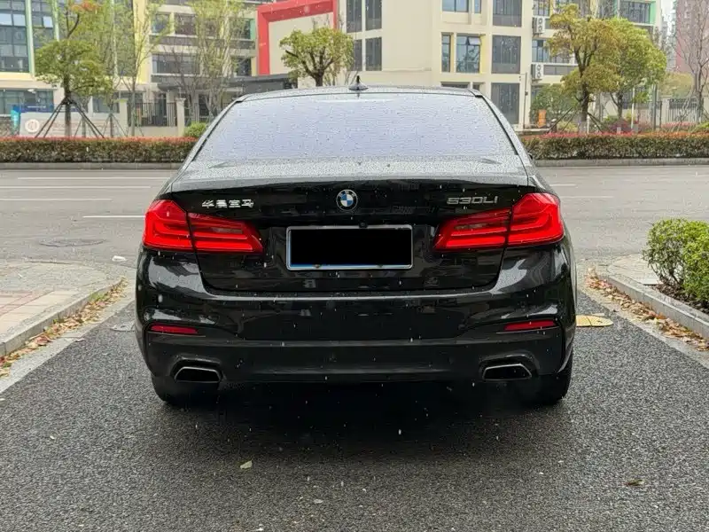 BMW 5 Series 2020 525Li M Sport Package фото 7