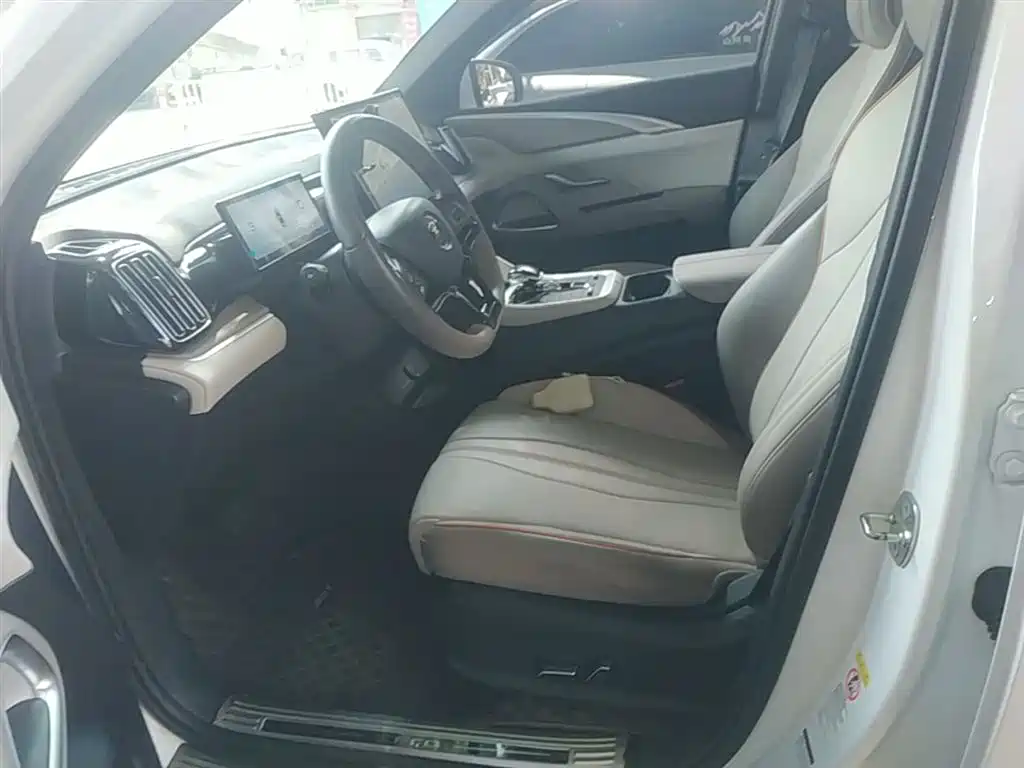 BYD Song Pro New Energy 2023 Champion Edition DM-i 110KM Excellence фото 15