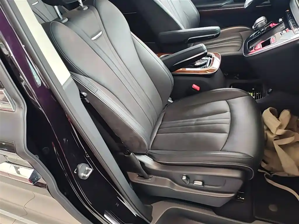 Hongqi HQ9 PHEV 2024 Model 2.0T AWD Luxury Edition фото 25