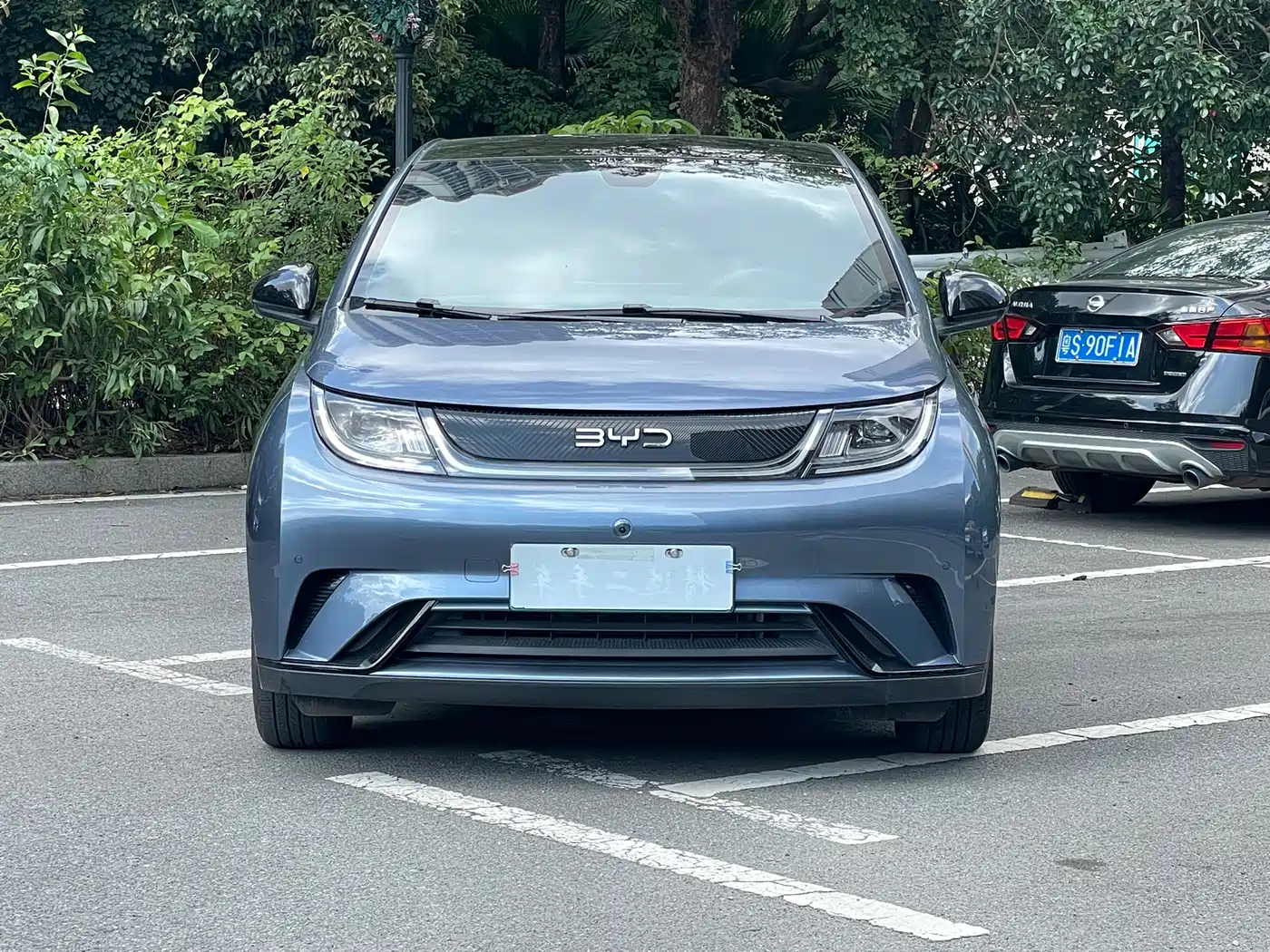 BYD Dolphin 2024 Glory Edition 420km Fashion Edition фото 2
