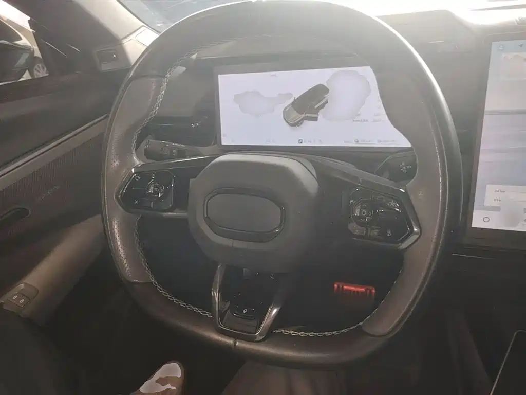 Lynk & Co 08 EM-P 2023 220km 4WD Performance Halo фото 11