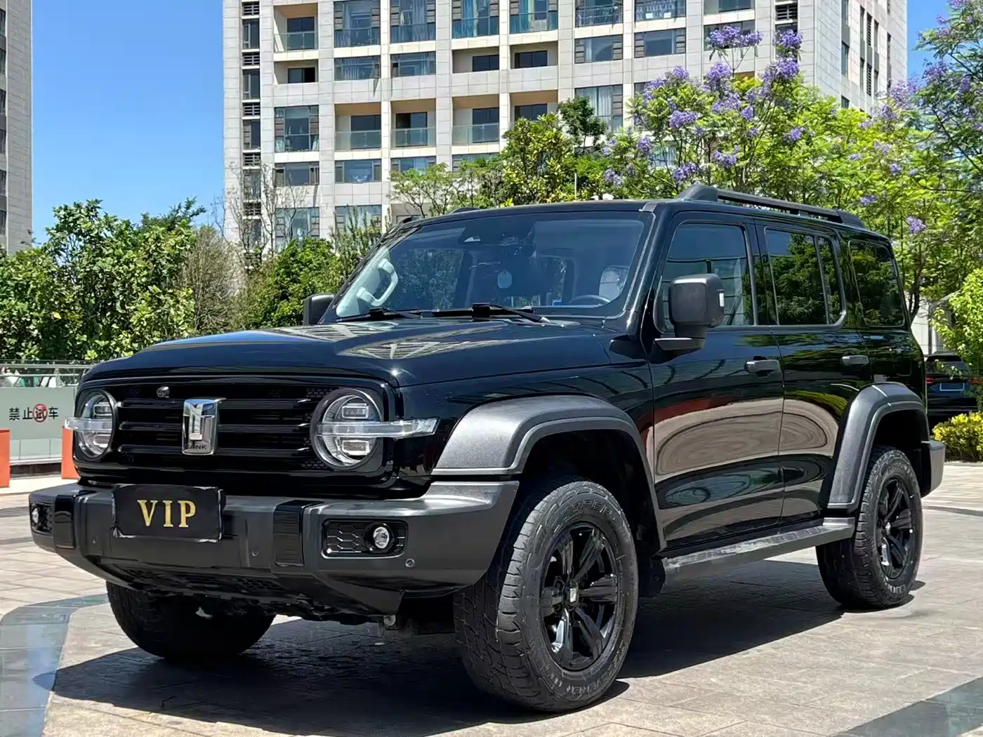 Tank 300 2021 Off-road Version 2.0T Conqueror