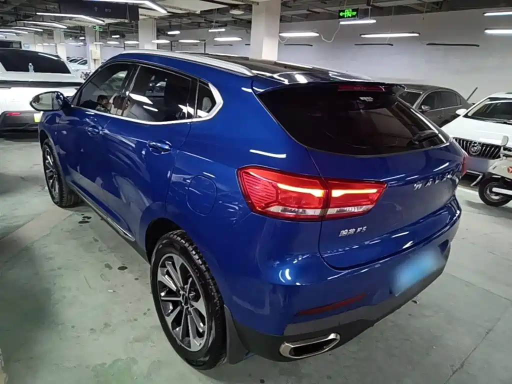 Haval F5 2019 National Trend Edition 1.5T iTrend China VI фото 5