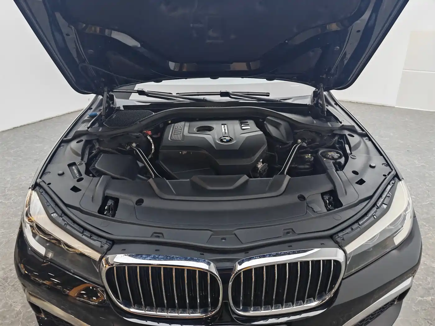 BMW 7 Series 2018 730Li Leading Type M Sport Package фото 13