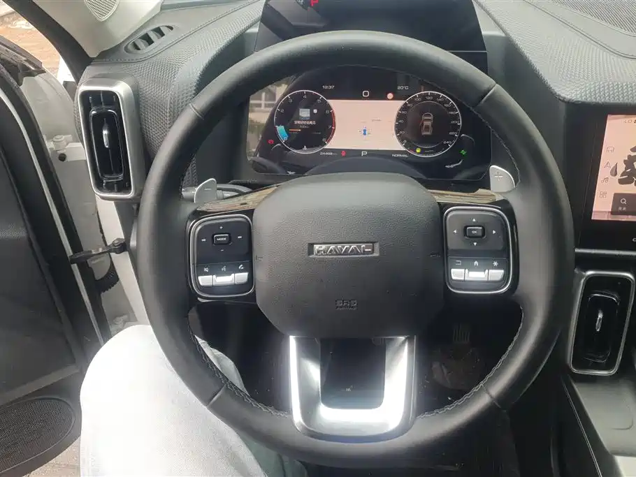 Haval Big Dog 2024 1.5T DCT Border Collie Edition фото 15
