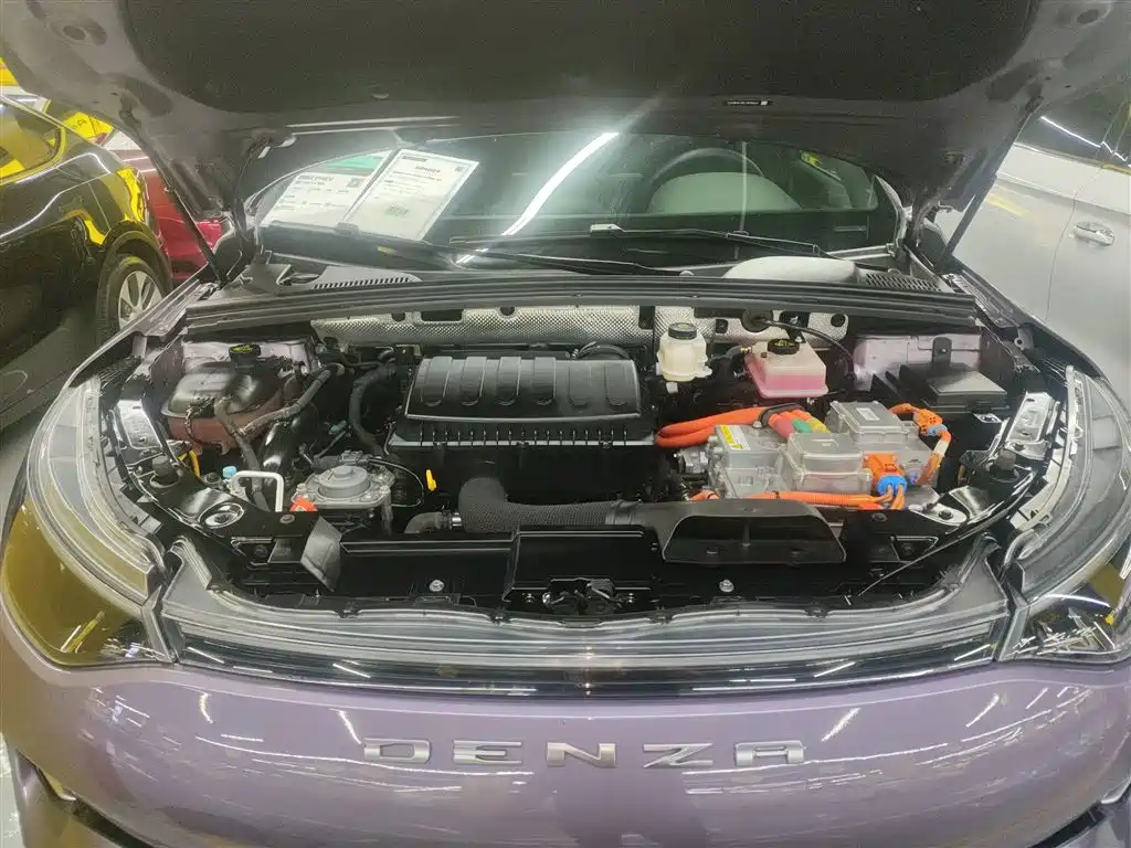 Denza X 2020 Model PHEV Flagship Edition фото 16