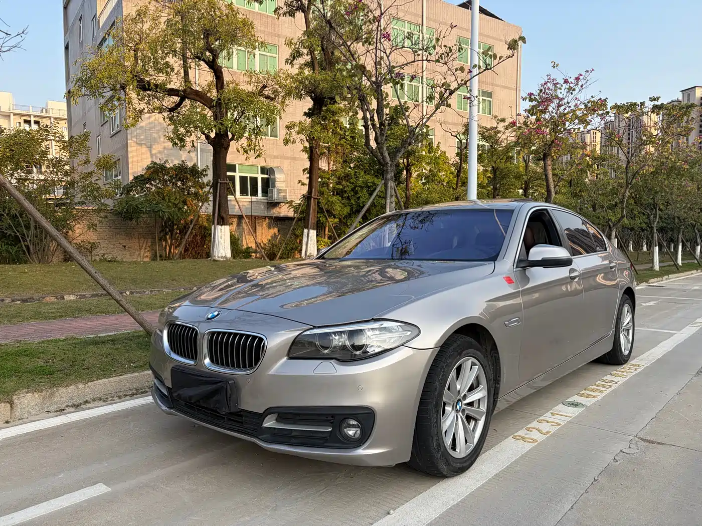 BMW 5 Series 2017 520Li Classic Edition