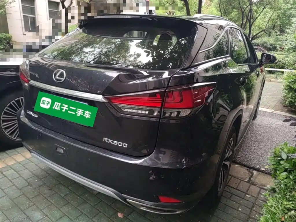 LEXUS RX