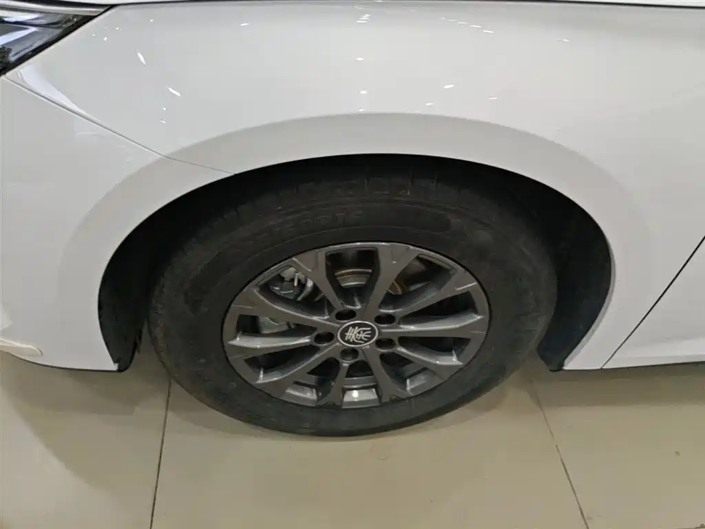 BYD Qin L 2024 DM-i 80KM Leading Edition фото 23