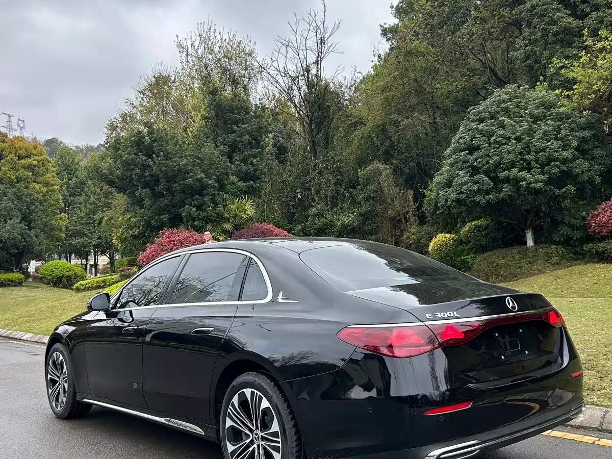 Mercedes-Benz E-Class 2026 E 300 L Luxury фото 6