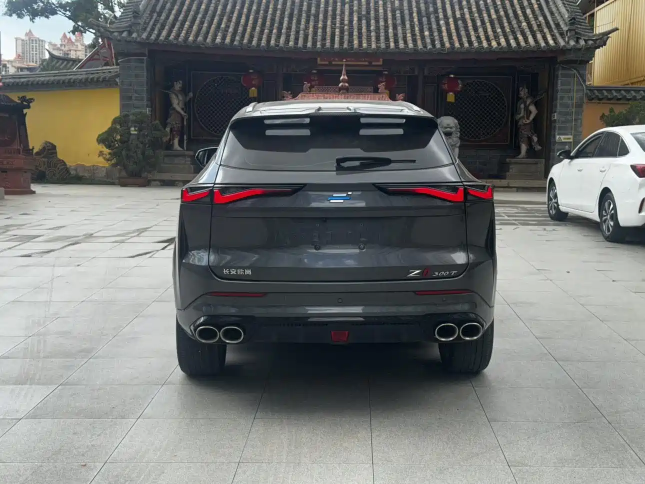 Changan Oshan Z6 2023 2022 Blue Whale 1.5T DCT Intelligent Enjoyment