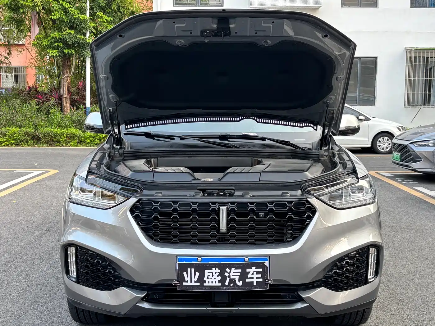 WEY VV6 2019 2018 2.0T 4WD Flagship China V