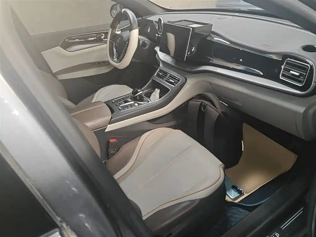 BYD Qin PLUS 2023 Champion Edition DM-i 120KM Leading Type фото 25