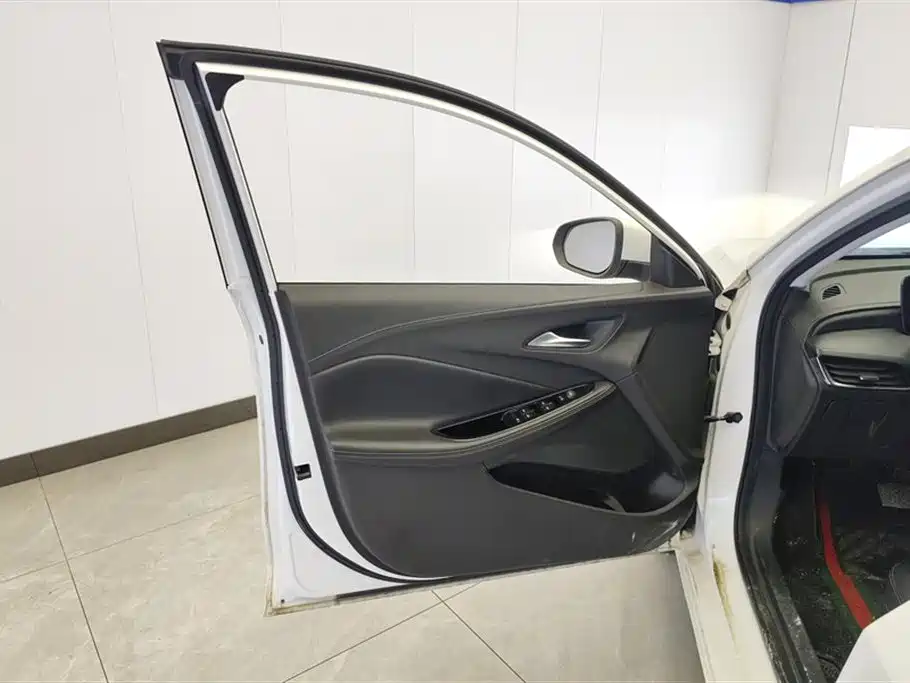 BUICK WEILANG