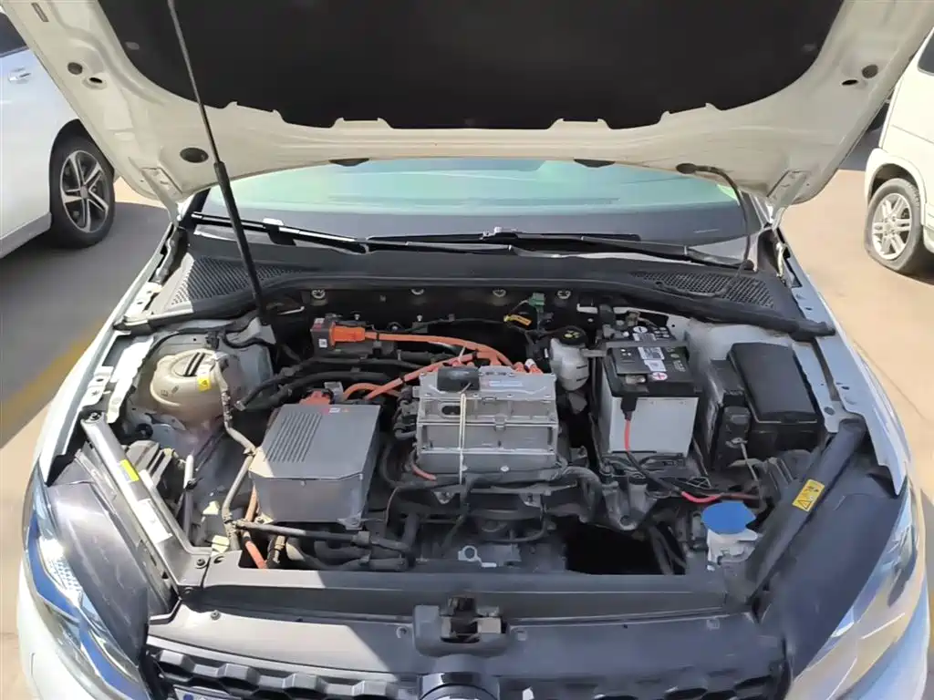 VOLKSWAGEN GOLF*PURE ELECTRICITY