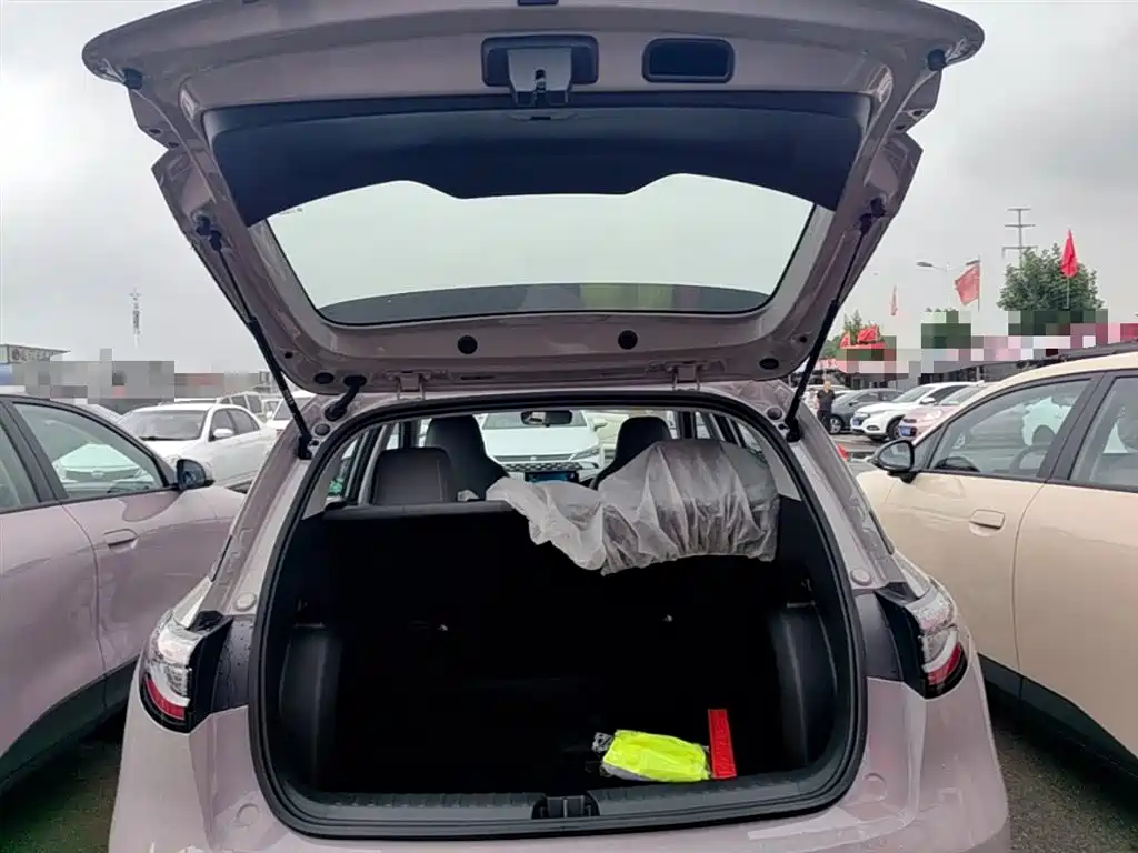 Geely Galaxy Starry Wish 2026 Edition 310km Youth Version фото 19