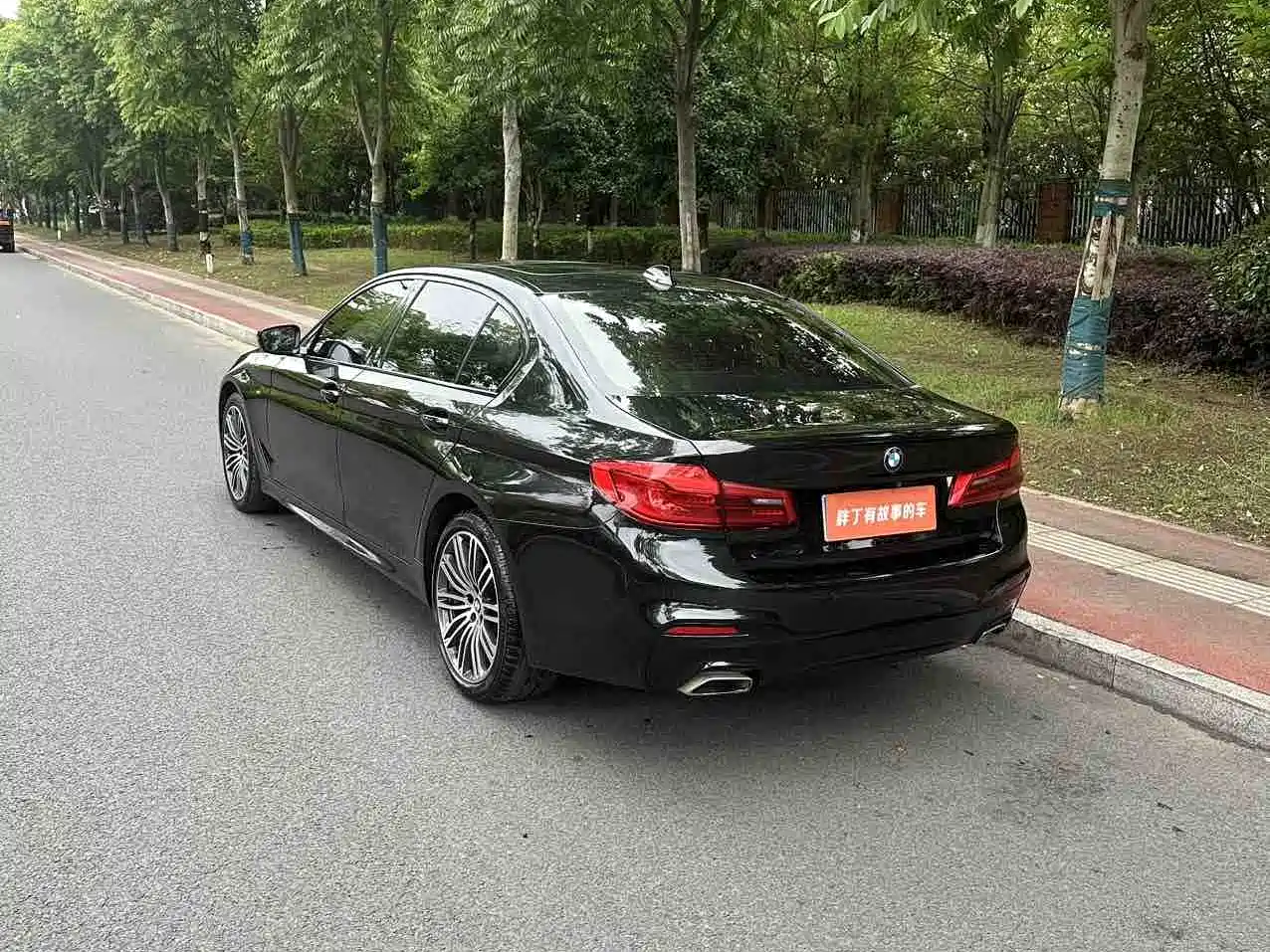 BMW 5 Series 2019 530Li Leading M Sport Package фото 10