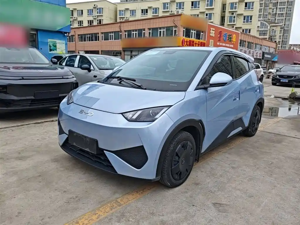 BYD Seagull 2025 Smart Drive Edition 305km Vitality Version