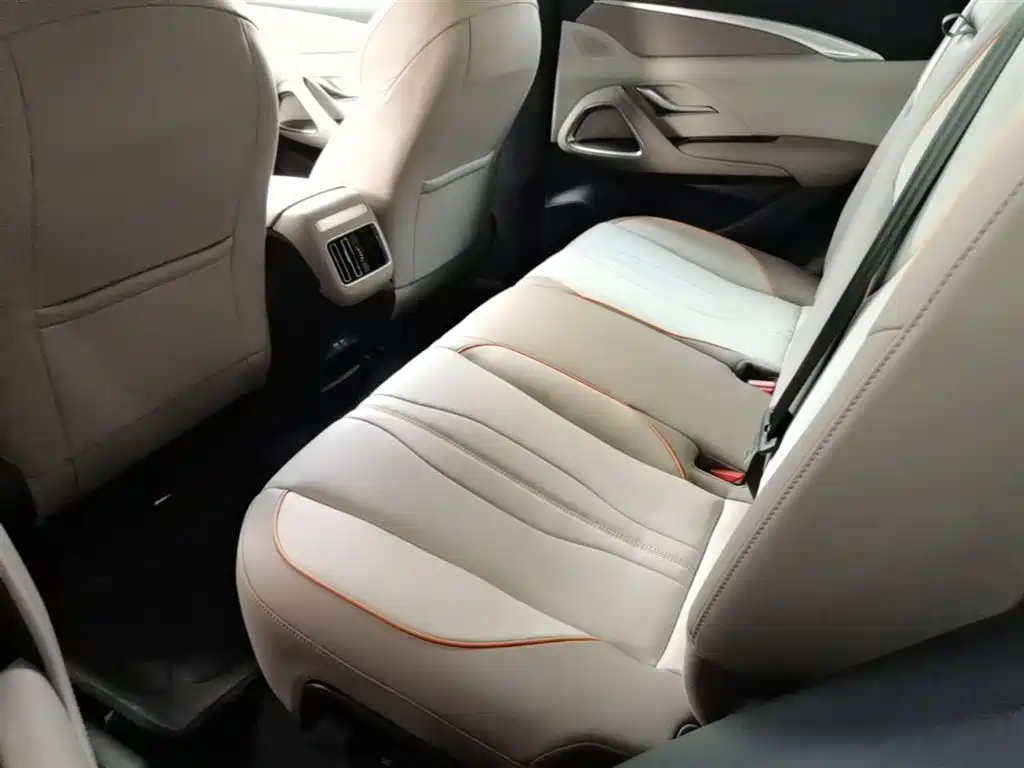 BYD Song Pro New Energy 2024 Glory Edition DM-i 71KM Leading фото 17