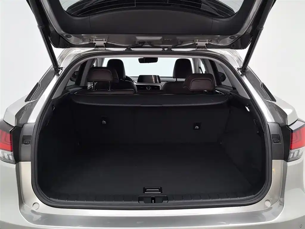 Lexus RX 2020 Facelift 300 AWD Elegance Edition фото 16