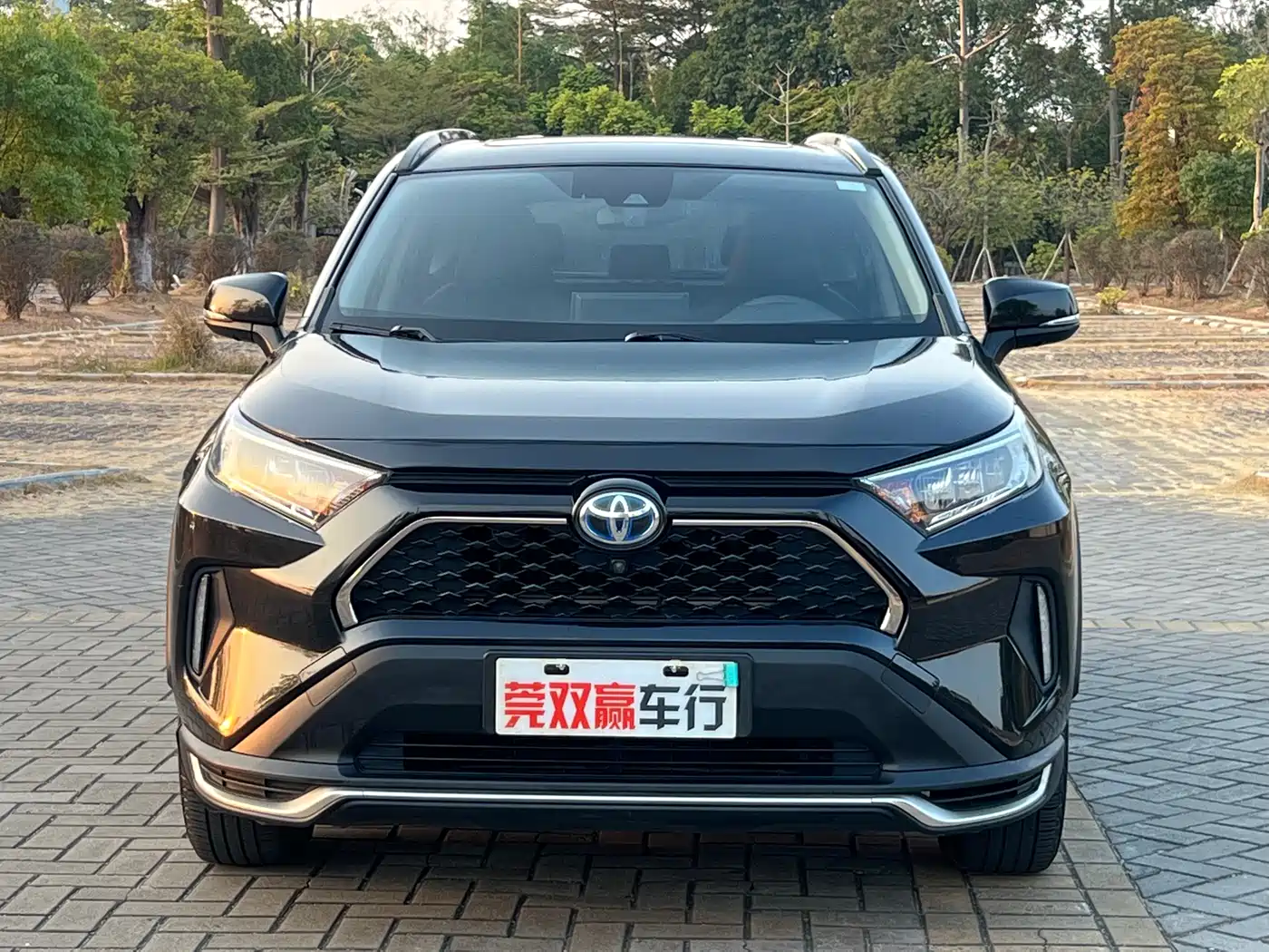 Toyota RAV4 Rongfang Dual Engine E+ 2022 2.5L 2WD Elite Pro фото 2