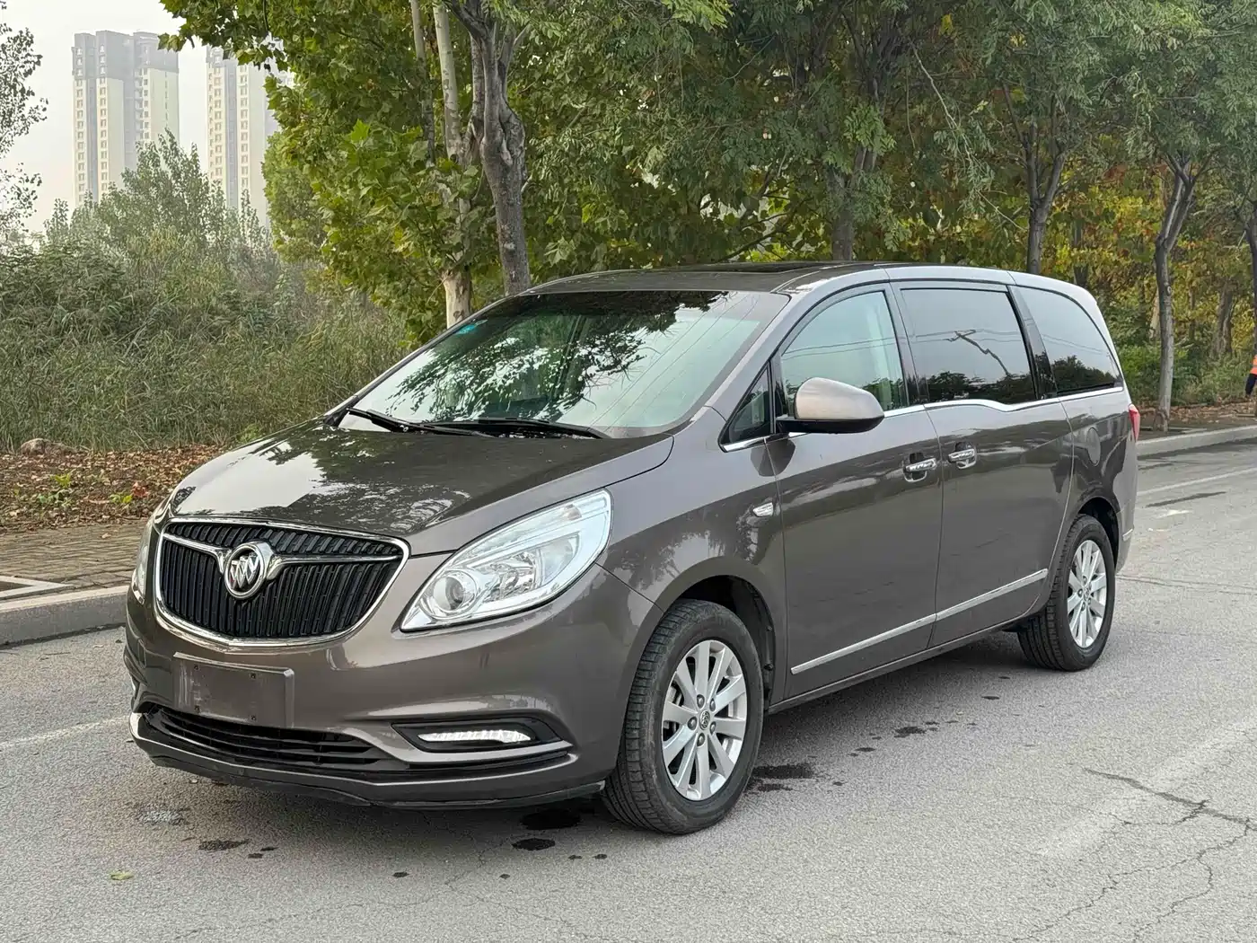 Buick GL8 2017 25S Luxury China V