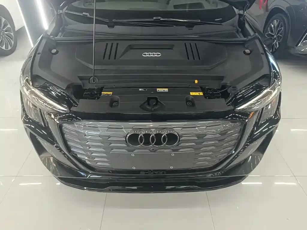 Фото 20 - Audi Q5 e-tron
