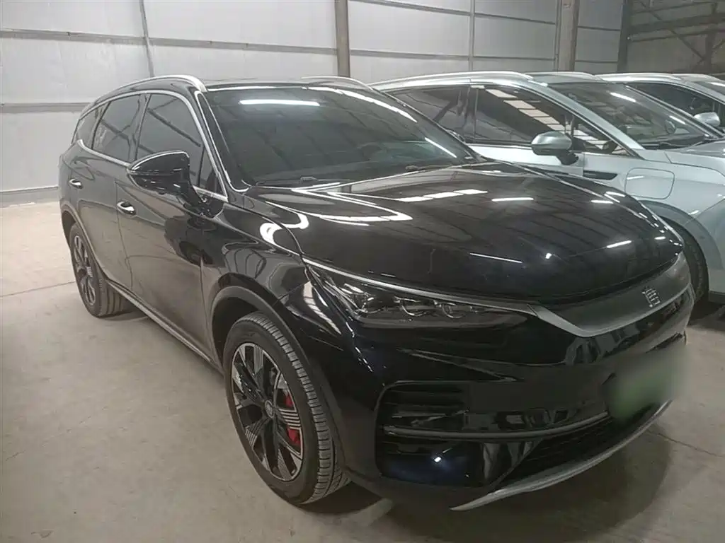 BYD Tang New Energy 2024 EV Glory Edition 730KM Premium фото 4