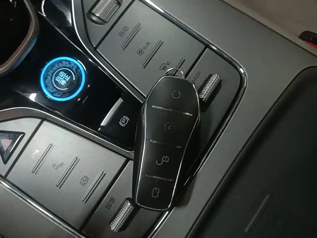 BYD Tang New Energy 2024 EV Glory Edition 730KM Premium фото 9