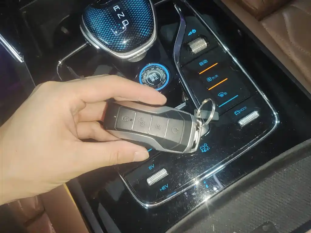 BYD Tang New Energy 2021 DM-i 112KM Premium фото 9