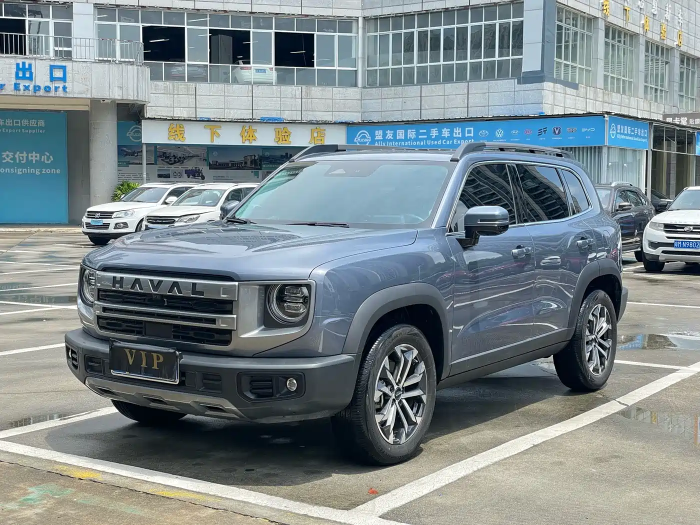 Haval Big Dog 2024 1.5T DCT Border Collie Edition