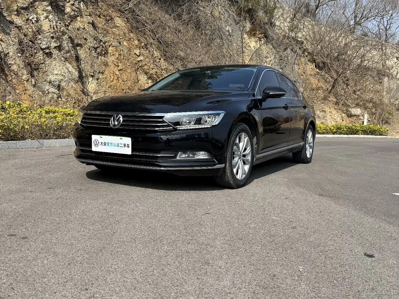 Volkswagen Magotan 2019 330TSI DSG Luxury Class China VI