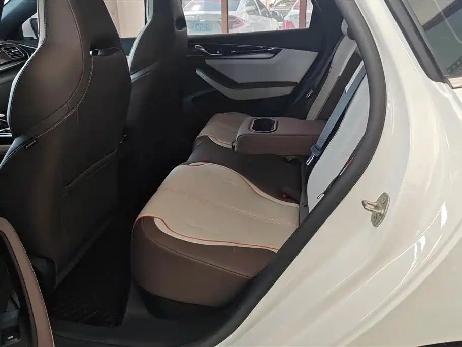 BYD Qin PLUS 2023 Champion Edition EV 510KM Advanced Type фото 11
