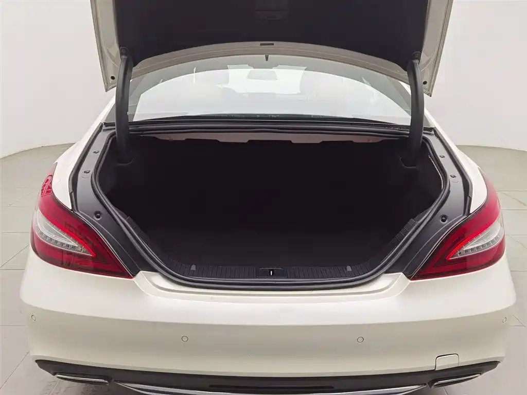 Mercedes-Benz CLS 2015 CLS 320 фото 16