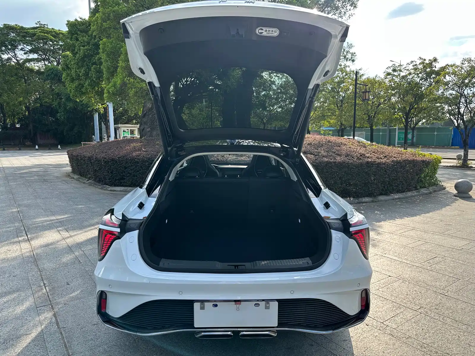Фото 27 - Hongqi H6