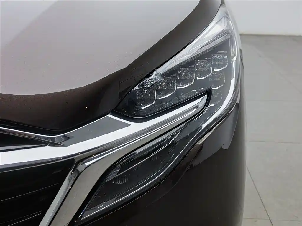 Buick GL8 2021 ES Landlord 653T Luxury фото 7