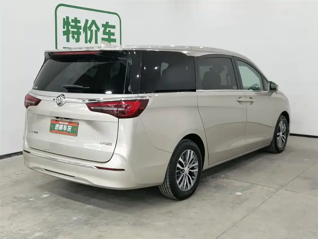 Buick GL8 2021 ES Landlord 653T Premium фото 2