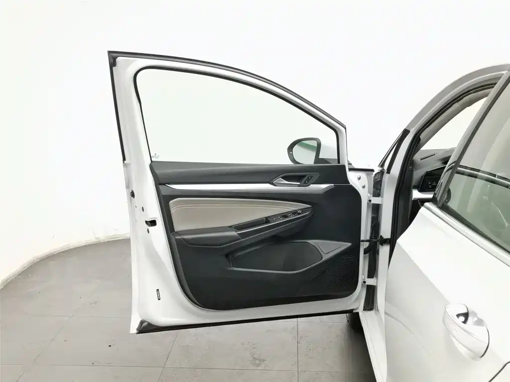Volkswagen Golf 2021 280TSI DSG 30th Anniversary Edition фото 8