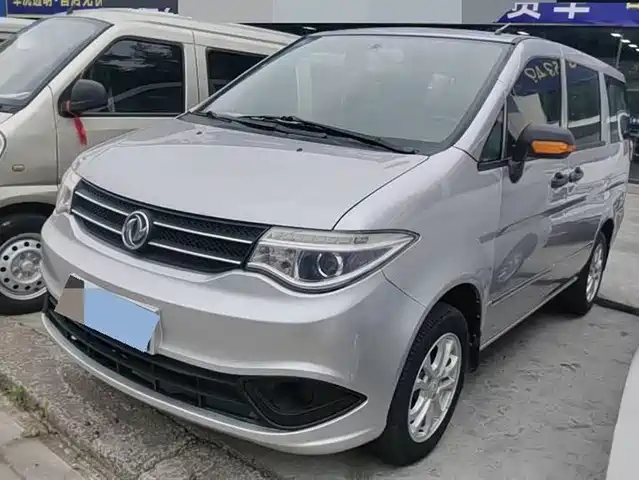 DONGFENG HANDSOME GUEST