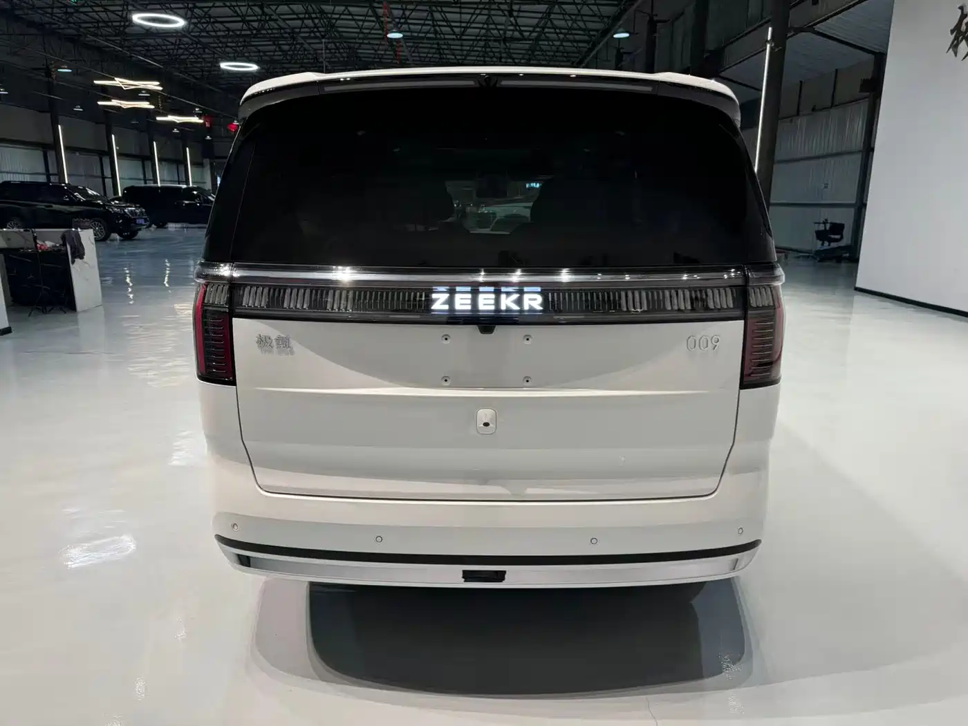 ZEEKR EXTREME KRYPTON 009