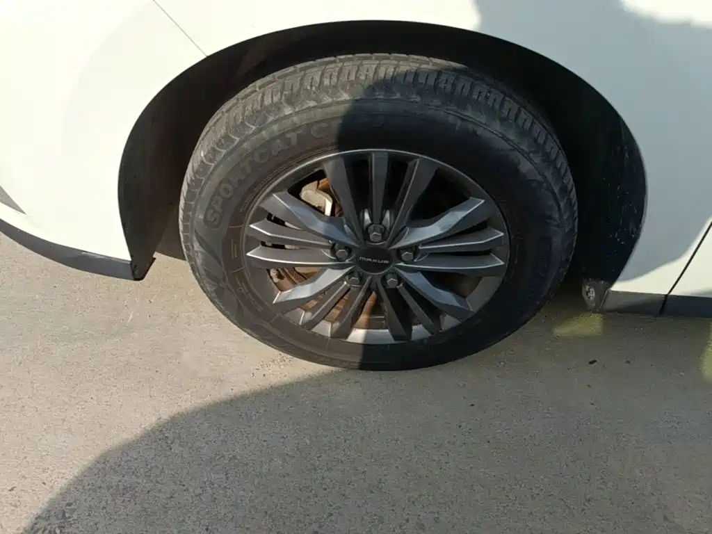 Фото 23 - SAIC Maxus Maxus G50