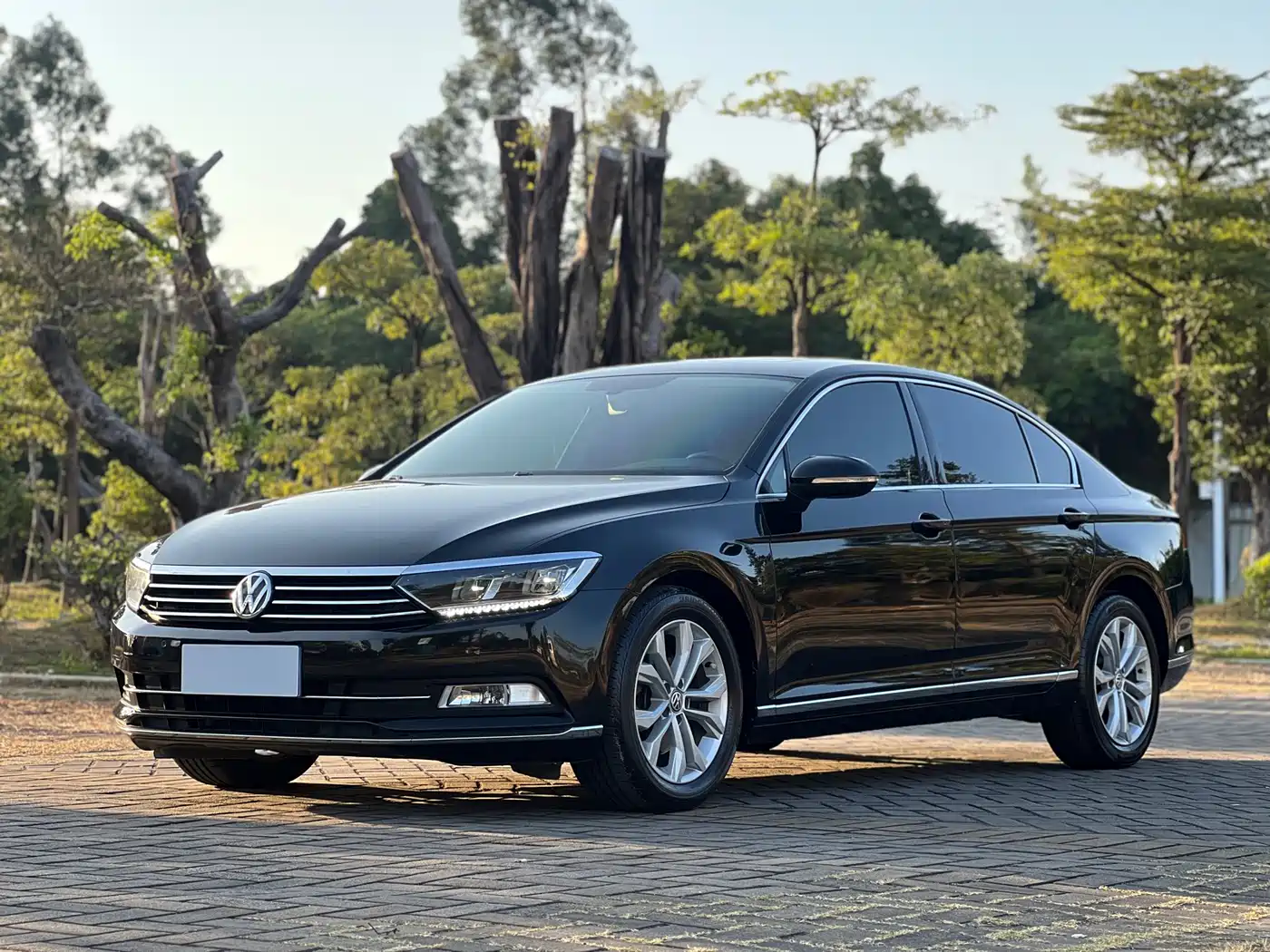 Volkswagen Magotan 2019 330TSI DSG Luxury Class China VI
