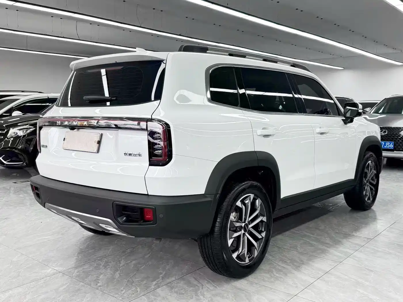 Haval Dargo 2025 2024 1.5T DCT Border Collie Edition