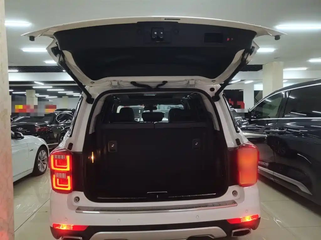 GAC Trumpchi Trumpchi GS8 2017 320T 2WD Luxury Smart Connect (7-seater) фото 18