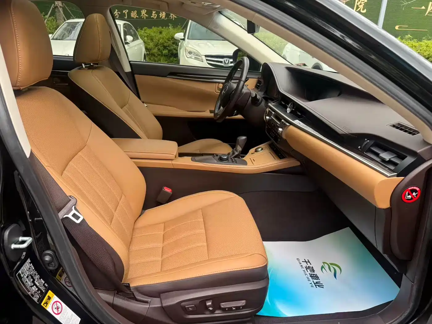 Lexus ES 2015 250 Elegance Edition фото 8