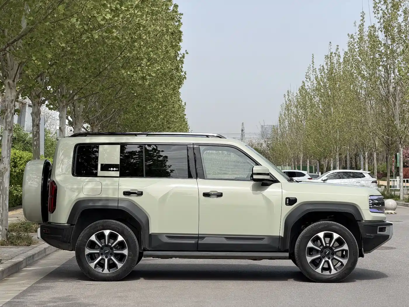 FANG CHENG BAO LEOPARD 5