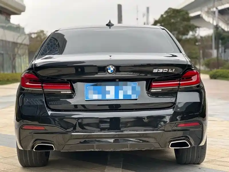 BMW 5 Series 2020 530Li Leading M Sport Package фото 9