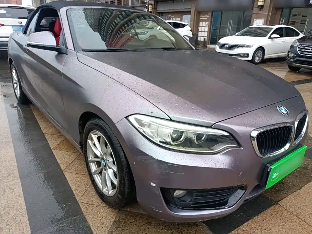 Photo 4 - BMW 2 Series (Import)